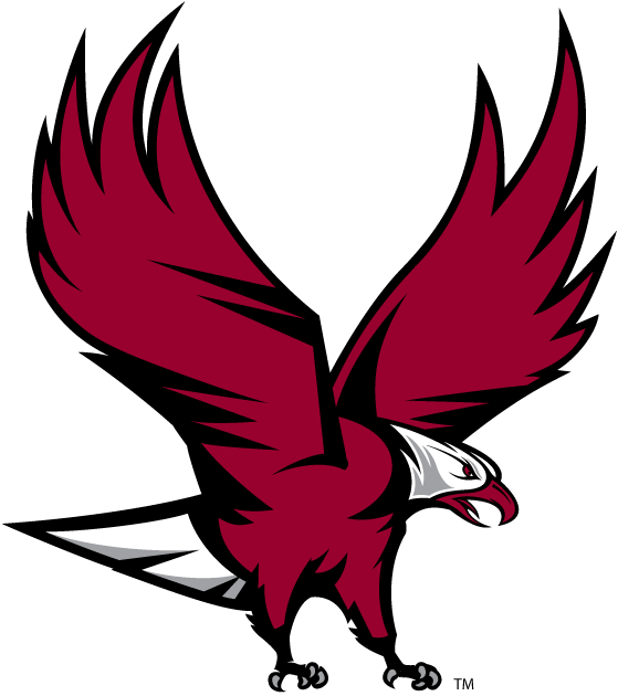 NCCU Eagles 2006-Pres Partial Logo diy iron on heat transfer